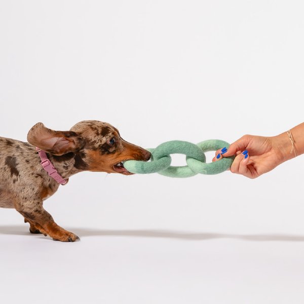 Awoo Link Felt Dog Tug Toy