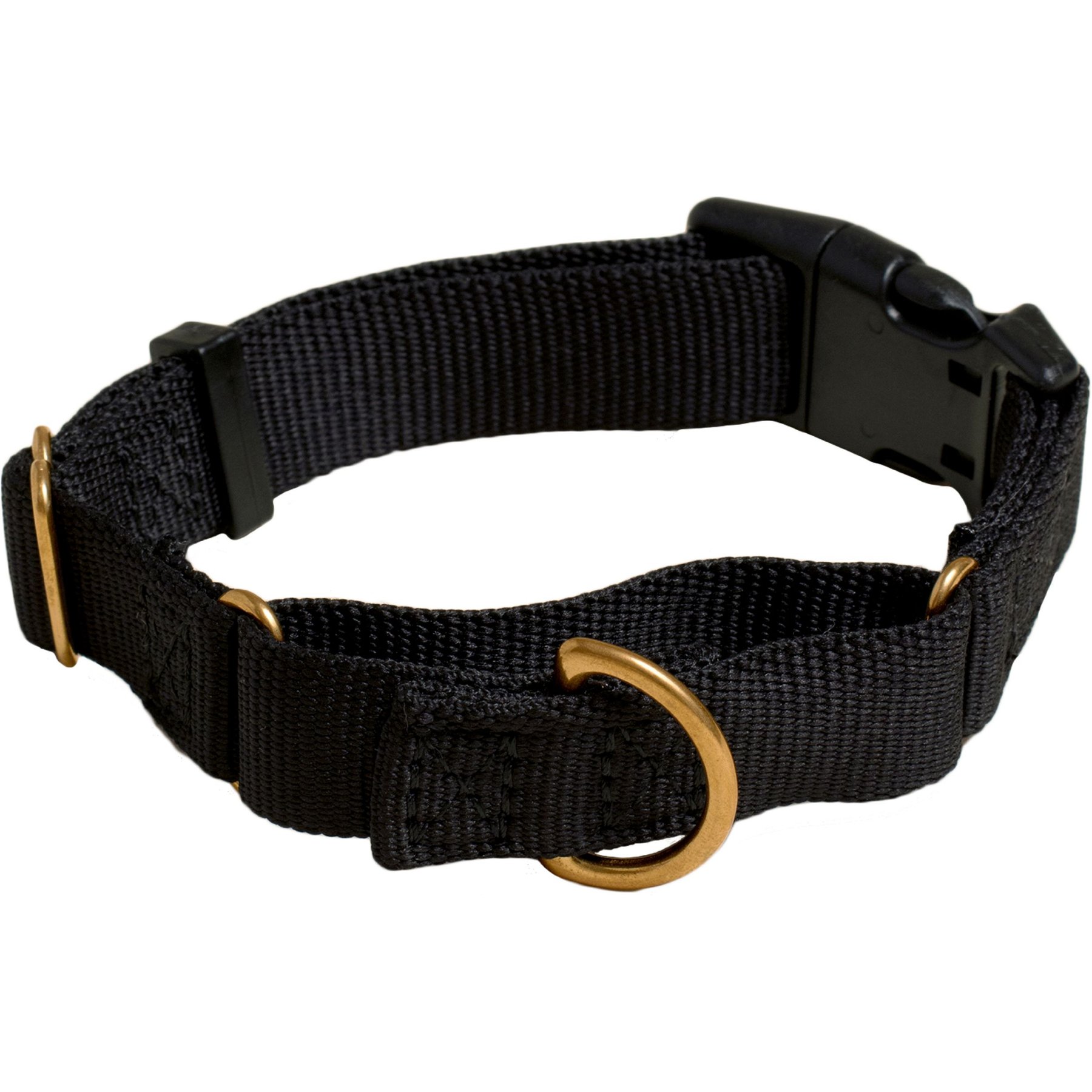Awoo Marty Martingale Dog Collar, Black, Large: 16 to 22.5-in neck, 1-in wide