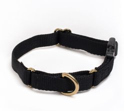 Awoo Marty Martingale Dog Collar, Black, X-Small