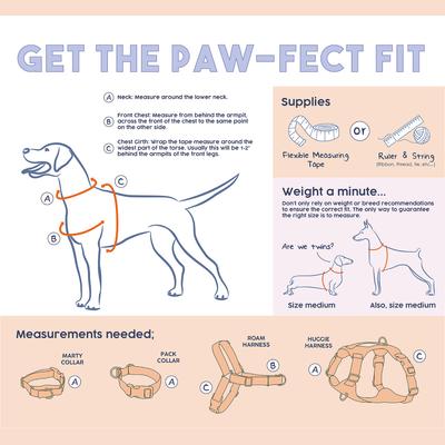 Show full view: Awoo Marty Martingale Dog Collar, Mauve, X-Small: 8.5 to 11-in neck, 1/2-in wide slide 4 of 7