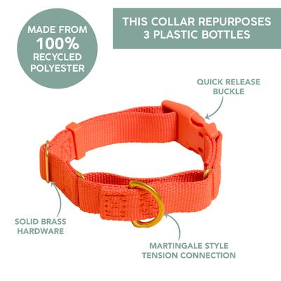 Show full view: Awoo Marty Martingale Dog Collar, Navy, Medium: 13.5 to 18-in neck, 3/4-in wide slide 7 of 9