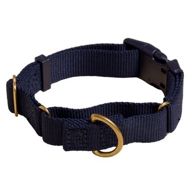 Awoo Awoo Marty Martingale Dog Collar, Navy, Small: 11.5 to 14-in neck, 3/4-in wide