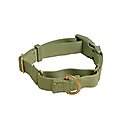 Awoo Marty Martingale Dog Collar, Olive, Large: 16 to 22.5-in neck, 1-in wide
