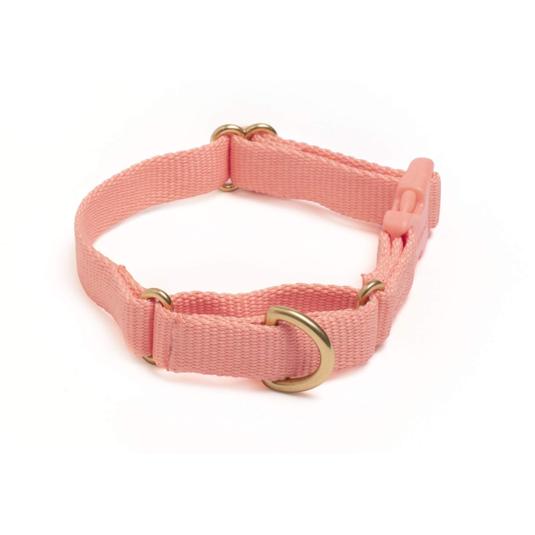 Awoo Marty Martingale Dog Collar, Peach, X-Small