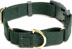 Awoo Marty Martingale Dog Collar, Pine, Medium: 13.5 to 18-in neck, 3/4-in wide