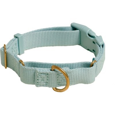 Awoo Awoo Marty Martingale Dog Collar, Slate, Large: 16 to 22.5-in neck, 1-in wide