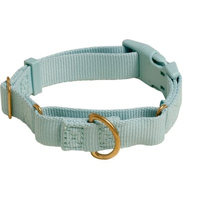 Awoo Awoo Marty Martingale Dog Collar, Slate, Medium: 13.5 to 18-in neck, 3/4-in wide