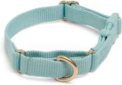 Awoo Marty Martingale Dog Collar, Slate, X-Small