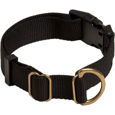 Awoo Awoo Pack Standard Dog Collar, Black, Large: 14 to 22-in neck, 1-in wide