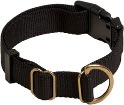 Awoo Pack Standard Dog Collar, Black, Medium: 12 to 19-in neck, 3/4-in wide