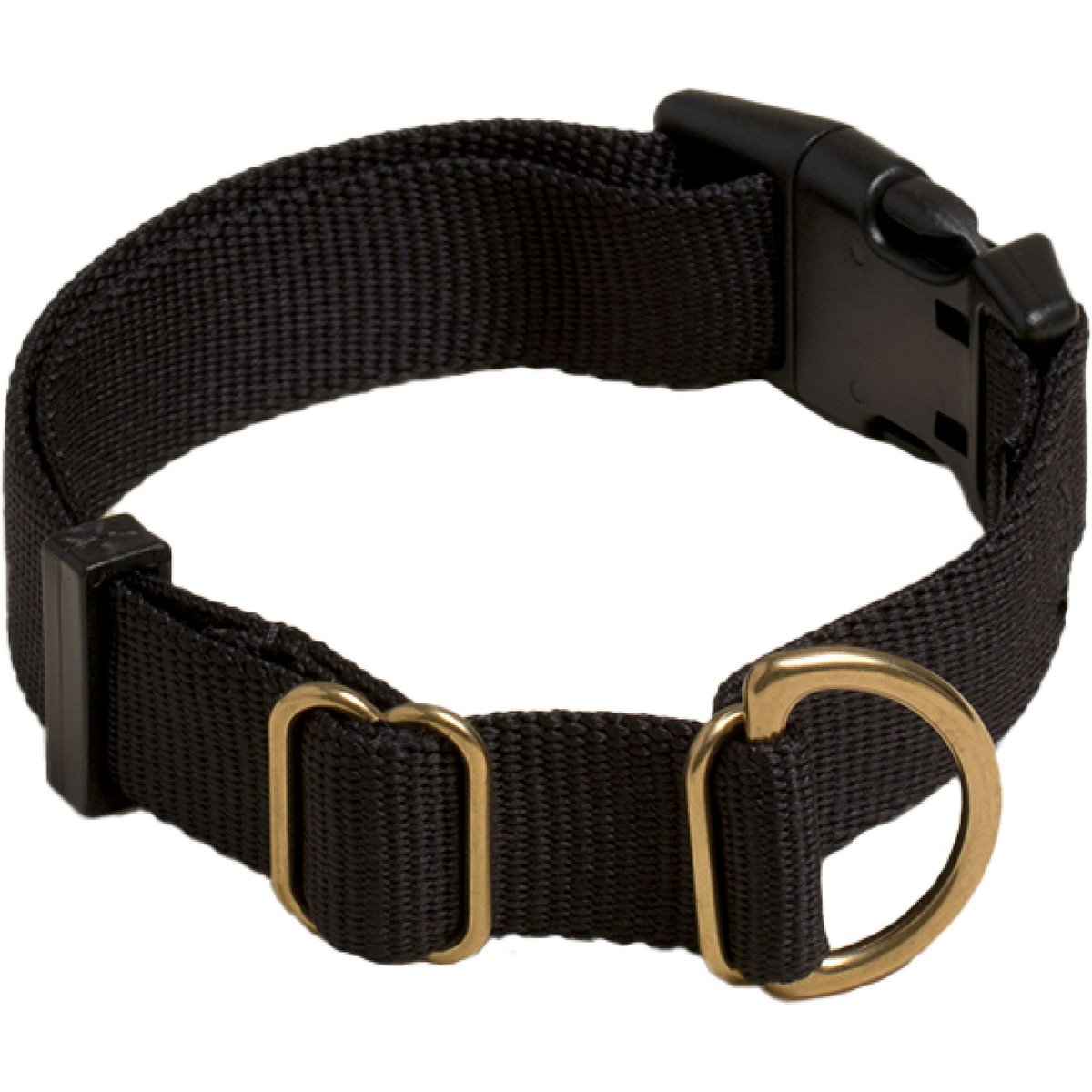 Awoo Pack Standard Dog Collar, Black, Medium: 12 to 19-in neck, 3/4-in wide