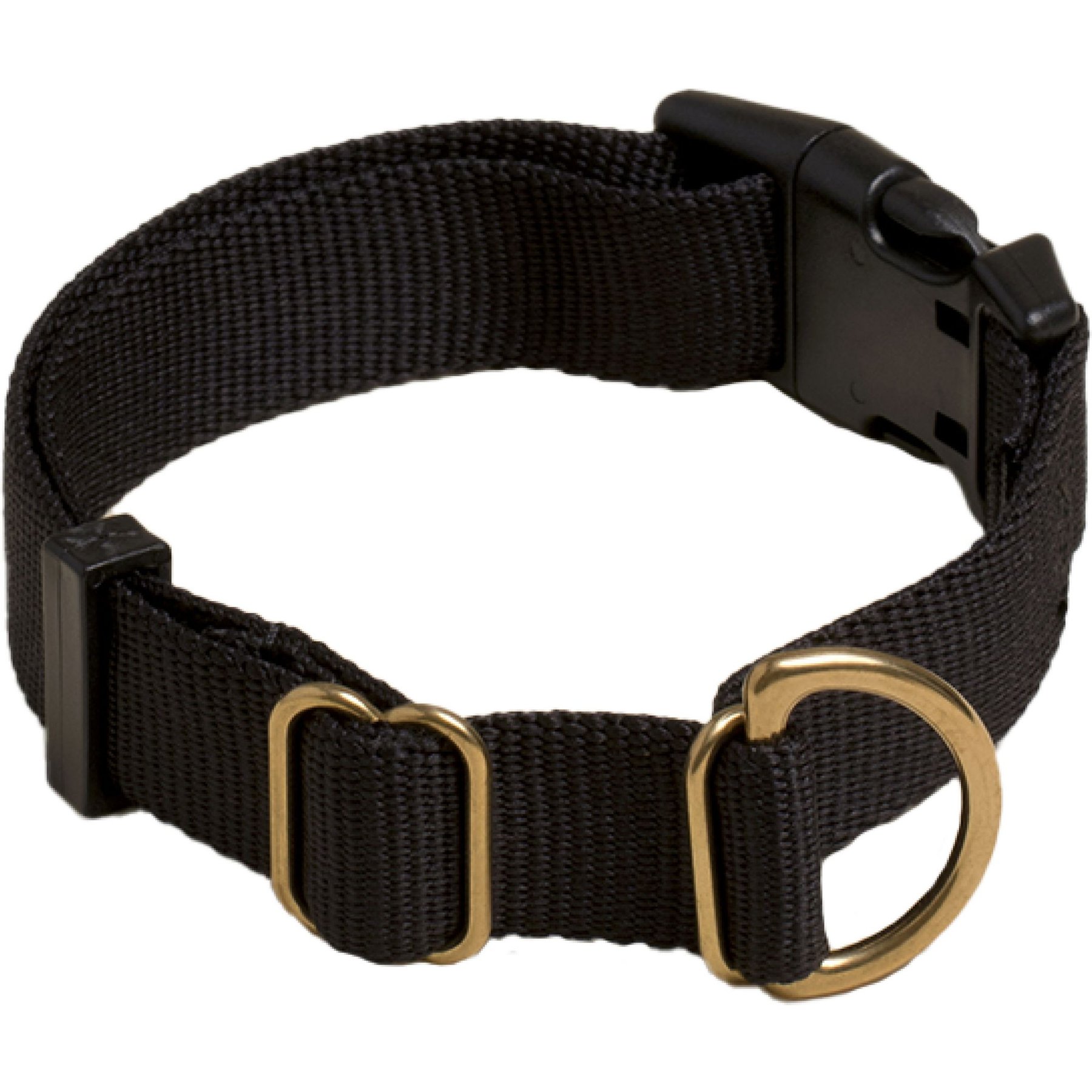 Awoo Pack Standard Dog Collar, Black, Medium: 12 to 19-in neck, 3/4-in wide