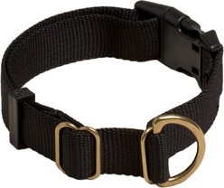 Awoo Pack Standard Dog Collar, Black, Small: 10 to 15-in neck, 3/4-in wide