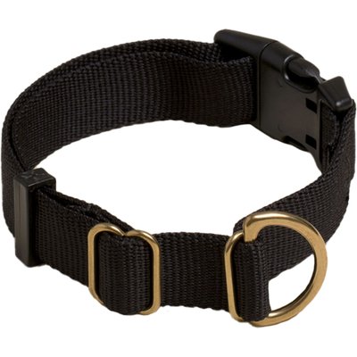 Awoo Awoo Pack Standard Dog Collar, Black, Small: 10 to 15-in neck, 3/4-in wide