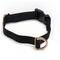 Show in main carousel: Awoo Pack Standard Dog Collar, Black, X-Small slide 1 of 9