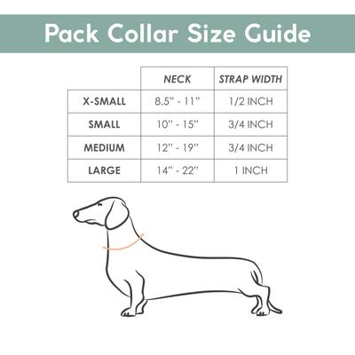Show full view: Awoo Pack Standard Dog Collar, Black, X-Small slide 3 of 9