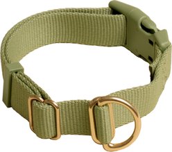 Awoo Pack Standard Dog Collar, Olive, Large: 14 to 22-in neck, 1-in wide