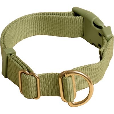 Awoo Awoo Pack Standard Dog Collar, Olive, Large: 14 to 22-in neck, 1-in wide