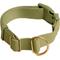 Show in main carousel: Awoo Pack Standard Dog Collar, Olive, Medium: 12 to 19-in neck, 3/4-in wide slide 1 of 9