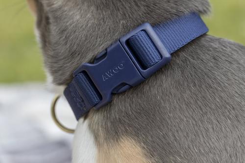 Show full view: Awoo Pack Standard Dog Collar, Olive, Medium: 12 to 19-in neck, 3/4-in wide slide 4 of 9