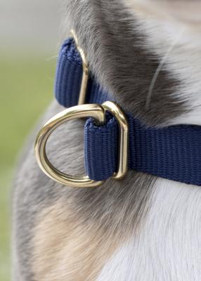 Show full view: Awoo Pack Standard Dog Collar, Olive, Medium: 12 to 19-in neck, 3/4-in wide slide 5 of 9