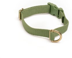 Awoo Pack Standard Dog Collar, Olive, X-Small