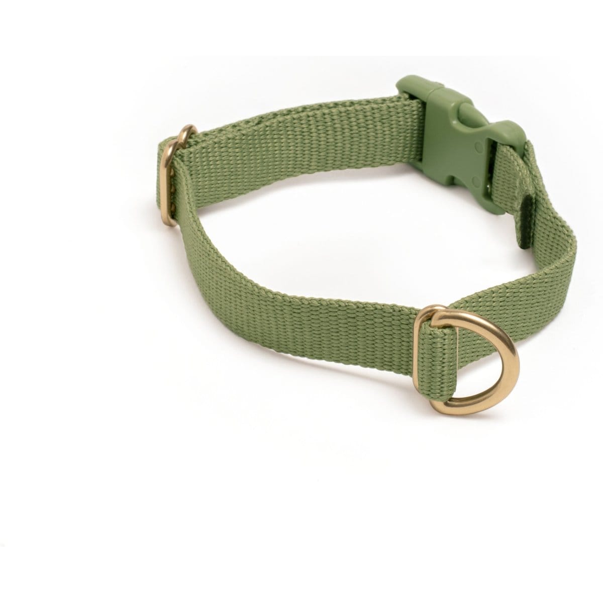 Awoo Pack Standard Dog Collar, Olive, X-Small