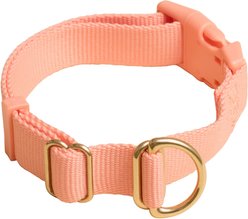 Awoo Pack Standard Dog Collar, Peach, Large: 14 to 22-in neck, 1-in wide