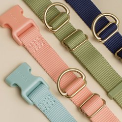 Awoo Pack Standard Dog Collar, Peach, Large: 14 to 22-in neck, 1-in wide slide 2 of 8
