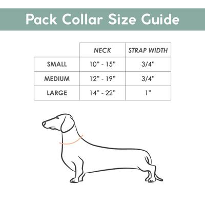 Show full view: Awoo Pack Standard Dog Collar, Slate, Large: 14 to 22-in neck, 1-in wide slide 4 of 10