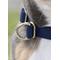 Show in main carousel: Awoo Pack Standard Dog Collar, Spice, Medium: 12 to 19-in neck, 3/4-in wide slide 6 of 10