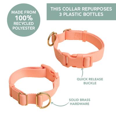 Show full view: Awoo Pack Standard Dog Collar, Spice, Medium: 12 to 19-in neck, 3/4-in wide slide 8 of 10