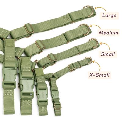 Show full view: Awoo Roam No Pull Dog Harness, Mauve, X-Small: 11.5 to 16-in chest slide 4 of 7