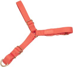 Awoo Roam No Pull Dog Harness, Olive, X-Small slide 1 of 8