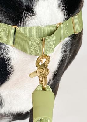 Show full view: Awoo Roam No Pull Dog Harness, Olive, X-Small slide 6 of 9