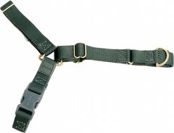 Awoo Roam No Pull Dog Harness, Pine, Large: 26 to 40.5-in chest