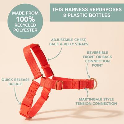 Show full view: Awoo Roam No Pull Dog Harness, Spice, Large: 26 to 40.5-in chest slide 2 of 9