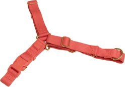 Awoo Roam No Pull Dog Harness, Spice, Medium: 18.5 to 29-in chest