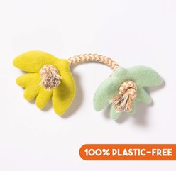 Awoo Turtle Doves Felt & Rope Dog Tug Toy, Lime/Aqua