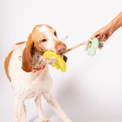 Show full view: Awoo Turtle Doves Felt & Rope Dog Tug Toy, Lime/Aqua slide 4 of 6