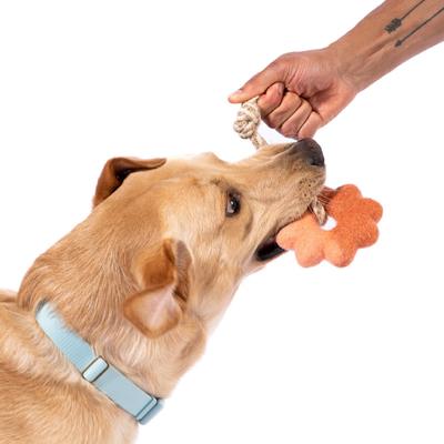 Show full view: Awoo Wheely Good Time Felt & Cotton Jute Rope Dog Tug Toy, Lime/Aqua slide 4 of 6