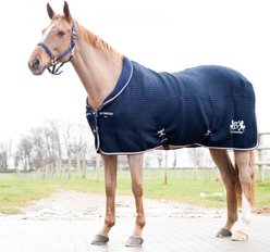 B Vertigo Theo Thermo Wool Mix Horse Stable Blanket, Dark Navy, 66-in slide 1 of 7