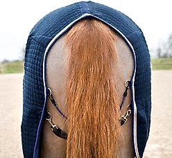 B Vertigo Theo Thermo Wool Mix Horse Stable Blanket, Dark Navy, 66-in slide 2 of 7