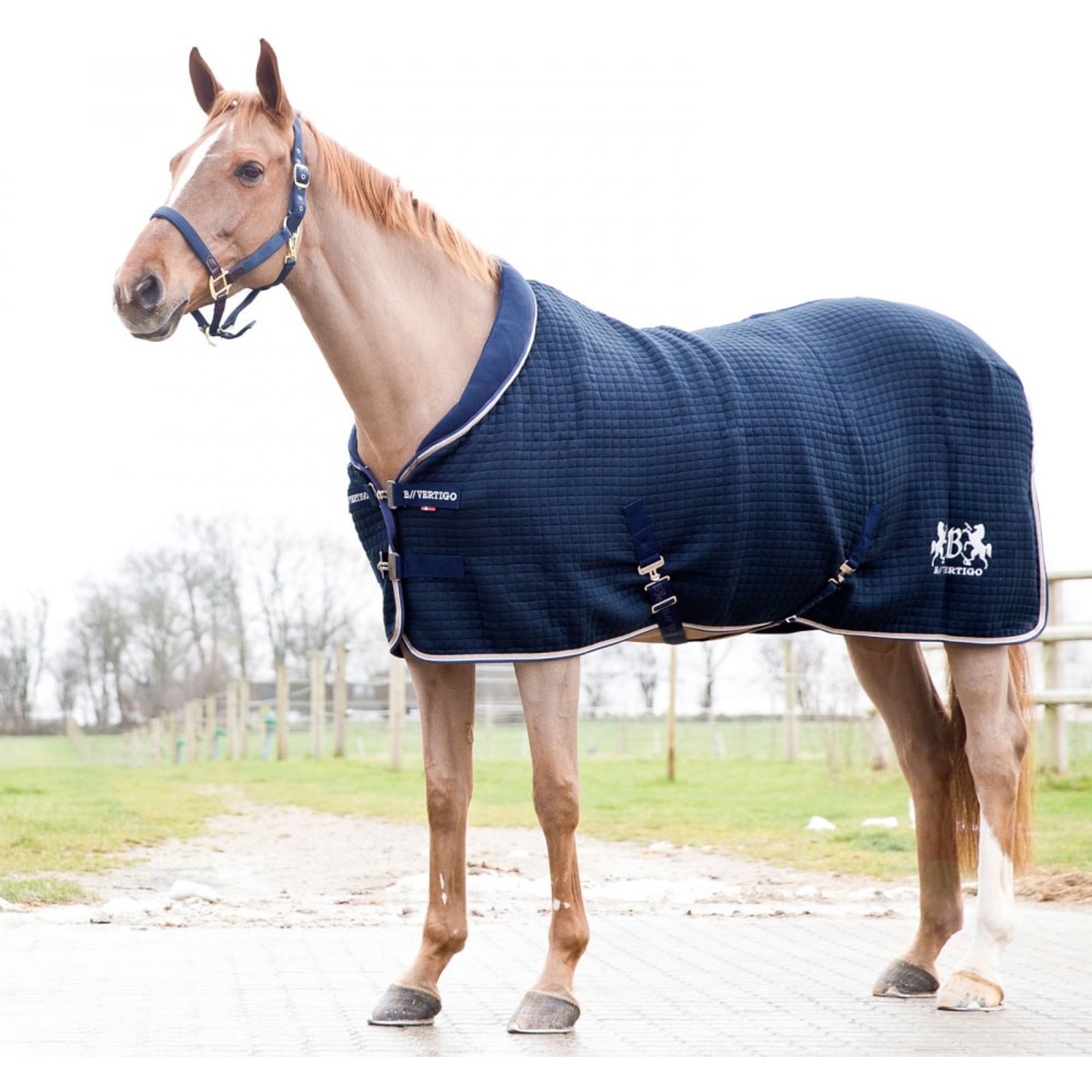 B Vertigo Theo Thermo Wool Mix Horse Stable Blanket, Dark Navy, 72-in
