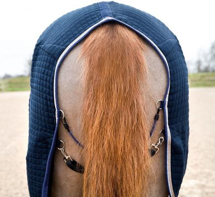 Show full view: B Vertigo Theo Thermo Wool Mix Horse Stable Blanket, Dark Navy, 81-in slide 3 of 7
