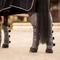 Show in main carousel: B Vertigo Wellington Shipping Horse Boots, 4 count, Anthracite Grey, Horse slide 2 of 6