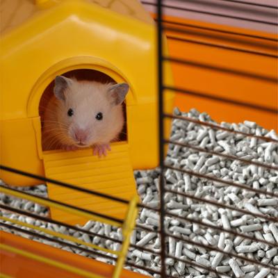 Show full view: back-2-nature Small Animal Bedding, 30-L slide 6 of 10