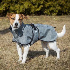 Back on Track Bark Dog Coat, Grey, 16-in