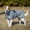 Show in main carousel: Back on Track Bark Dog Coat, Grey, 30-in slide 1 of 4