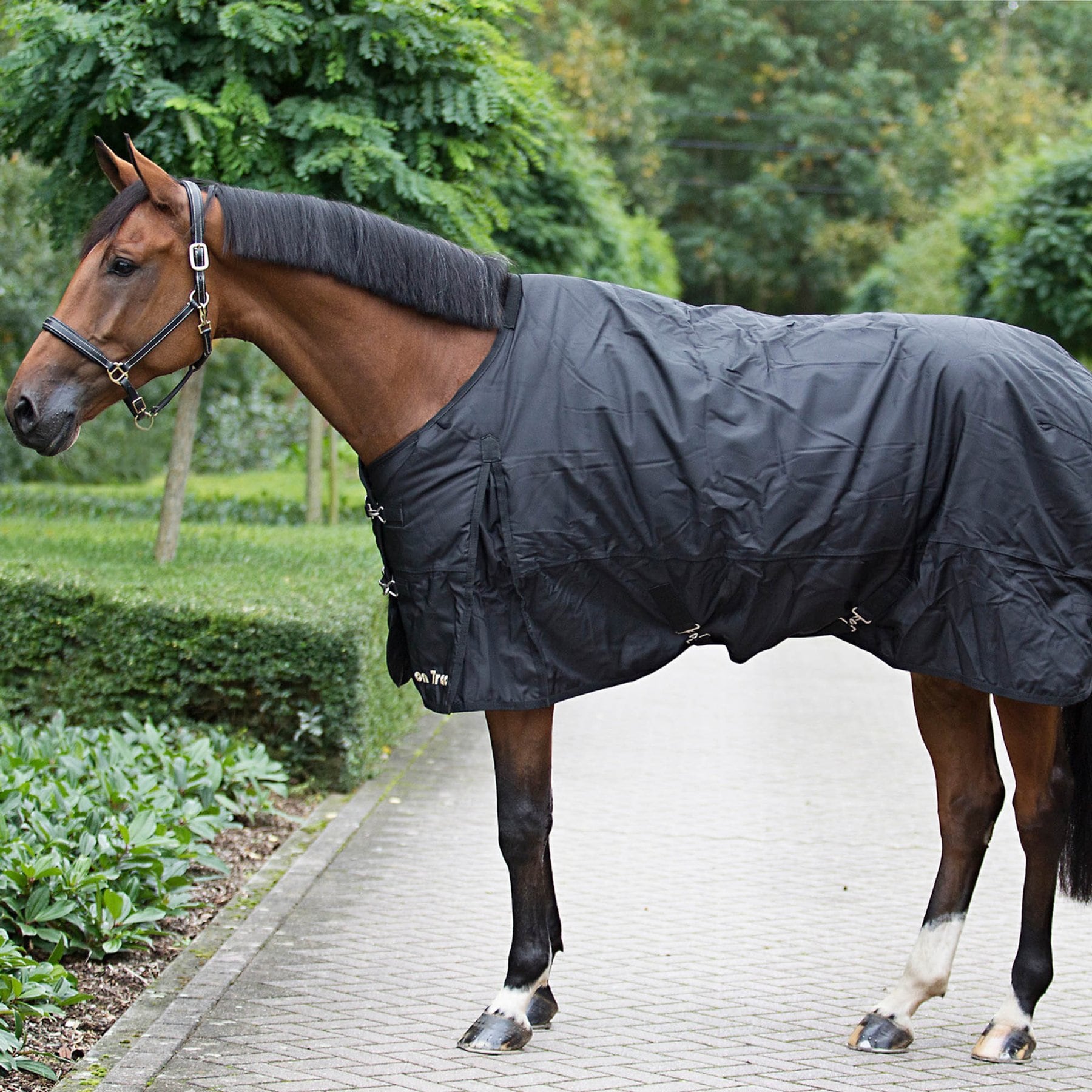 Back on Track Classic Waterproof Horse Turnouts-Sheet, Black, 90-in